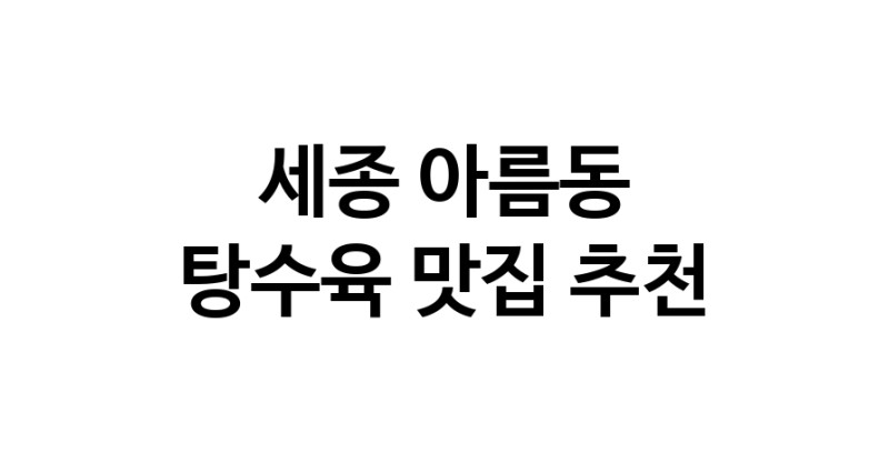 DE.dodo | 세종 아름동 탕수육맛집 탕수육 전문점 방문해 보세요 white.Image3__800_800-13