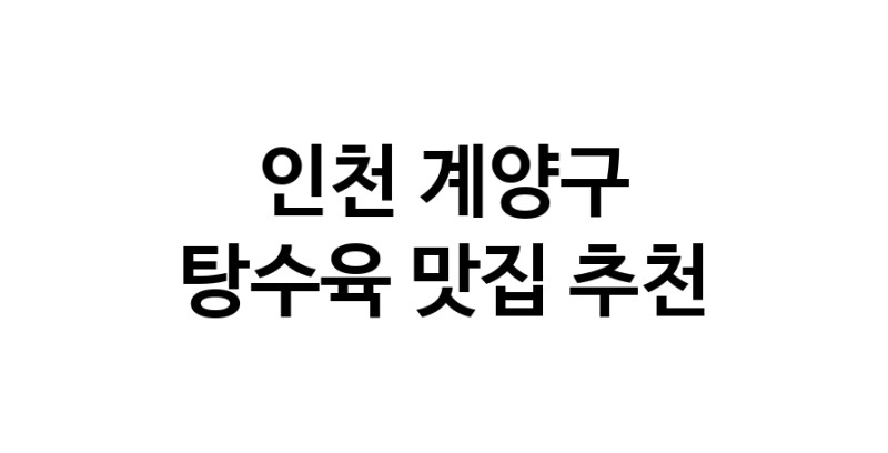 DE.dodo | 인천 계양구 탕수육 추천 가까운 탕수육맛집 소개합니다 white.Image3__800_800-24