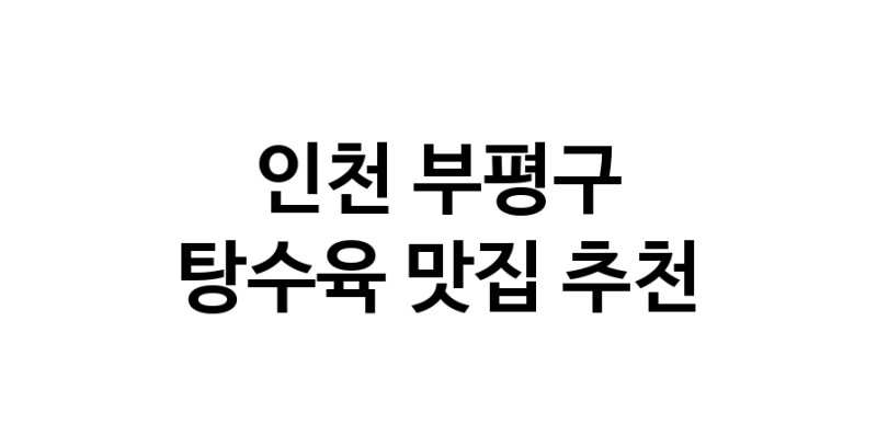 DE.dodo | 인천 부평구 탕수육 추천 가까운 탕수육맛집 소개합니다 white.Image3__800_800-28