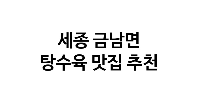 DE.dodo | 탕수육잘하는 맛집 추천합니다 세종 금남면에서 탕수육전문점 방문해 보세요 white.Image3__800_800-5